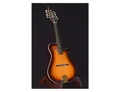 Godin A8 Electric Mandolin main image