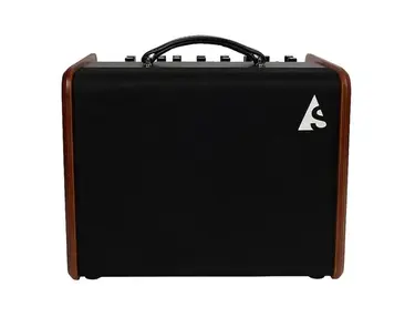Godin	ASG-8 Acoustic Solutions 2-Channel 120-Watt 1x8" Acoustic Guitar Combo