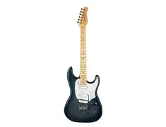 Godin Passion RG-3 main image