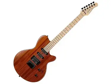 Godin Performance Series Exit 22