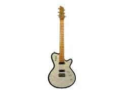 Godin Performance Series Radiator main image