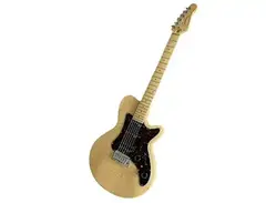 Godin SD22 Leaftop With Maple Fretboard main image