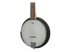 Gold Tone AC-6+ 6-String Acoustic-Electric Banjo main image