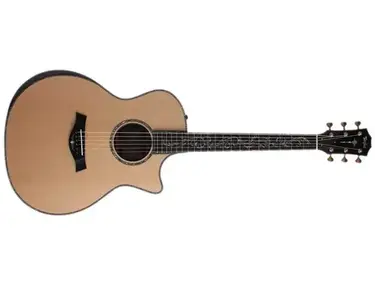 Taylor PS14ce