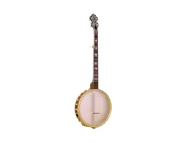 Gold Tone BC-350+ Bob Carlin Signature 12" Openback Banjo