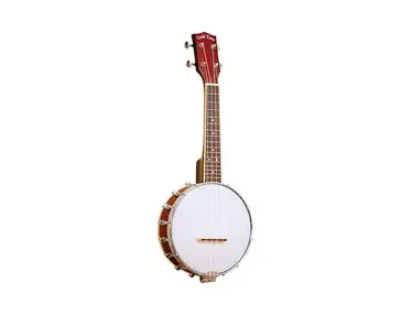 Gold Tone BUS Soprano Banjolele