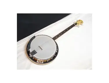 Gold Tone CC-IT Cripple Creek Irish Tenor Banjo
