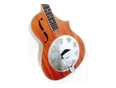 Gold Tone Dojo 5-String Resonator Banjo