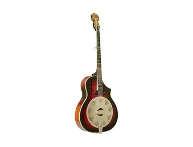 Gold Tone Dojo Deluxe 5-String Electric Resonator Banjo