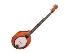 Gold Tone EB-5 5-String Electric Banjo