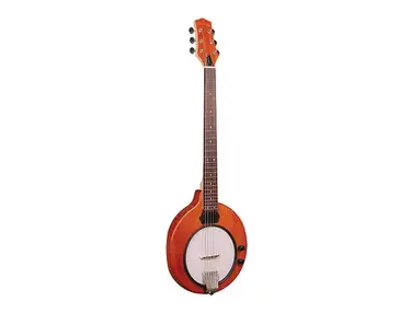 Gold Tone EB-6 Banjitar