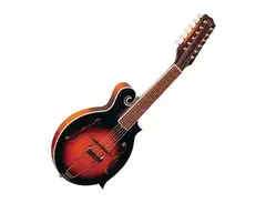 Gold Tone F-12 12-String Manditar