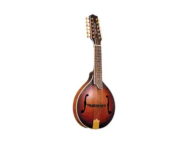 Gold Tone GM-12+ Manditar