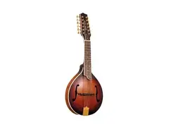 Gold Tone GM-12+ Manditar main image