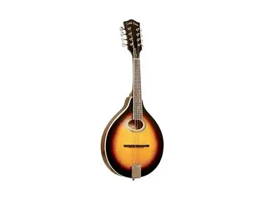 Gold Tone GM-50 A-Style Mandolin