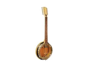 Gold Tone GT-1200 Banjitar