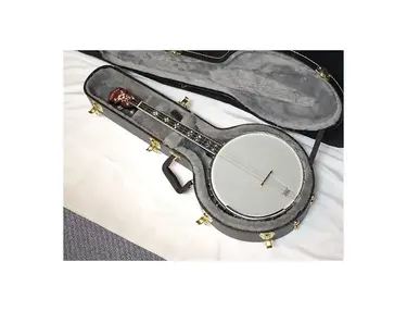 Gold Tone IT-250 4-String Openback Irish Tenor Banjo