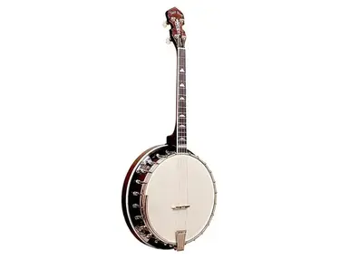 Gold Tone IT-250F 4-String Resonator Irish Tenor Banjo with Flange