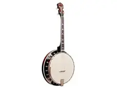 Gold Tone IT-250F 4-String Resonator Irish Tenor Banjo with Flange main image
