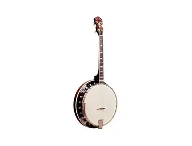 Gold Tone IT-250R 4-String Resonator Irish Tenor Banjo