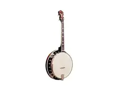 Gold Tone IT-250R 4-String Resonator Irish Tenor Banjo main image