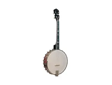 Gold Tone IT-800 4-String Openback Irish Tenor Banjo w/ Flange