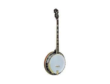 Gold Tone PS-250 4-String Resonator Plectrum Special Banjo
