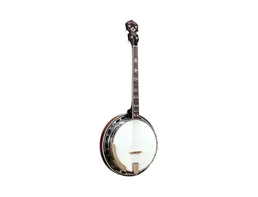 Gold Tone TS-250 4-String Flat Top Resonator Tenor Special Banjo