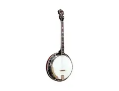 Gold Tone TS-250 4-String Flat Top Resonator Tenor Special Banjo main image