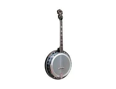 Gold Tone TS-250AT 4-String Archtop Resonator Tenor Special Banjo