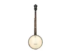 Gretsch G9455 "Dixie Special" 5-String Open Back Banjo main image