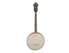 Gretsch G9480 "Laydie Belle" Irish Tenor Banjo main image