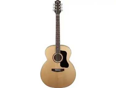 Guild Arcos Series AF-50E