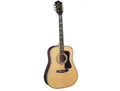 Guild Custom Shop D-100 main image