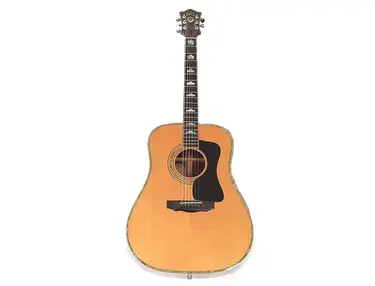Guild D-100