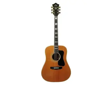 Guild D-55 TV