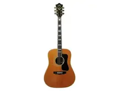 Guild D-55 TV main image
