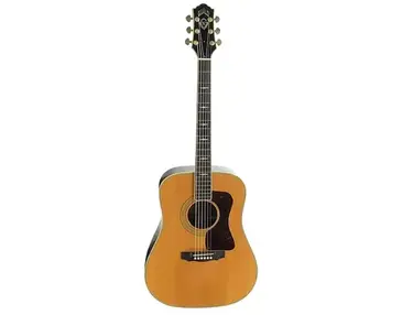 Guild D-60