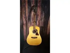 Guild GAD-G212E main image