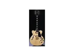 Carvin SH-225S