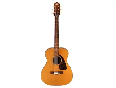 Guild USA A-25HG