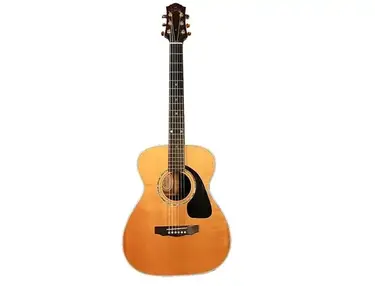 Guild USA A-50
