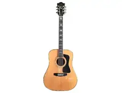 Guild USA D-100C main image