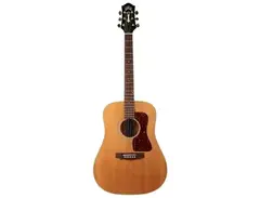 Guild USA D-30 main image