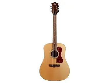 Guild USA D-40 Standard