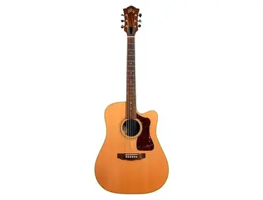 Guild USA D-40CE Standard
