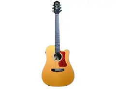 Guild USA D-50CE main image