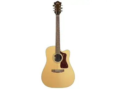 Guild USA D-50CE Standard