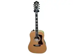 Guild USA D-60 main image