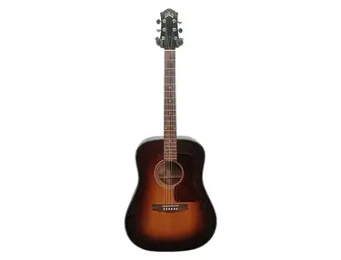 Guild USA DV-25